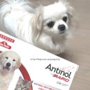 퓨란 | 강아지 고양이 관절 슬개골 영양제 광고에 속지말고 이제 이거 먹여요~안티놀 래피드 후기(동물병원전용)