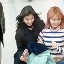 모모 이미지