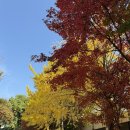 올스테이인 이미지