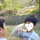 명석농장 이미지