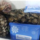 벌교제일수산 이미지