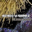 아트모텔 | 여수실내가볼만한곳 비오는 날 데이트 미디어아트 녹테마레