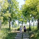 초록공원 | 🌿군산 금강습지생태공원 산책 후기｜초록빛🌿 메타세쿼이아길과 갈대밭이 아름다운 힐링 명소