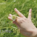 결혼정보사랑만들기 이미지