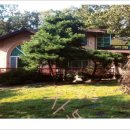 분당-283 이미지