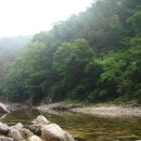 법흥 캠핑장 이미지