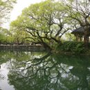 향기4로,향기5로 이미지