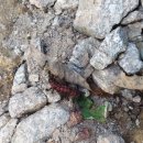 원수산 생태습지2 이미지