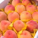 메이크짐 이미지