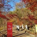 찾아가는 아라가야 문해교실 | 함안군, ‘찾아가는 아라가야 문해교실 시화전’ 개최