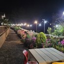 비자림라파 이미지