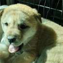 정선가축병원 이미지