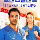 트랜스머리