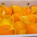 예진가족농장 이미지