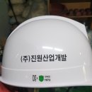 (주) 진원산업