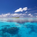 대양오션 이미지