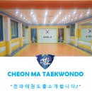 천마태권스쿨 이미지