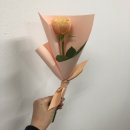 밀드플레 이미지