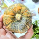 하은농장2 이미지