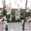 꾸나펜션 이미지