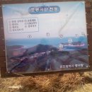 중동서울