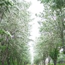 전주 팔복 예술공장 다녀왔어요^^~ 이미지