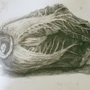 소묘·수채화 이미지