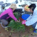 햇다래마을 이미지