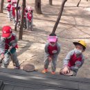 미광유치원 이미지