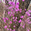 오미약수터 이미지