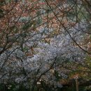 신암근린공원 이미지