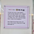 맛집 장승포 버거섬 본점 통통새우버거 색시버거 5성급 호텔 쉐프 맛 비교 및 밀크쉐이크 솔직 후기 정리