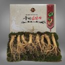 대경수삼