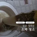 진해정화조 - 1368 | 창원 성주동 패브릭 소파 청소, 찌든 물얼룩과 세균까지 한 번에 해결하기