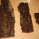 블리쟈드 이미지