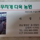 무지개다육