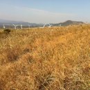 소소락하우스 이미지