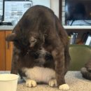 태극김밥 앞 | 2026.01.01 - 01.15