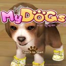 마이독스 이미지