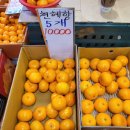 다이뜨라쌍용예가점