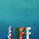 대천스토리 이미지