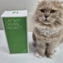 해피토이 | 고양이 장난감 추천 캣디피 해피박스 마따따비, 캣닢 이갈이 토이