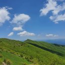 (6차산업인증사업장)KTX 이음 타고 영주 가볼만한 곳, 천상의 화원 소백산 꽃차 이야기