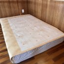 오투오션1 이미지