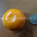 흑토랑농장 이미지