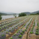 남한강변길 이미지