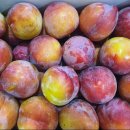 천안우리지역아동센터 이미지