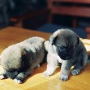 부평성모재활의학과의원 이미지