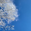 설산한의원 이미지