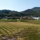 고성 용촌리~고성 통일전망대